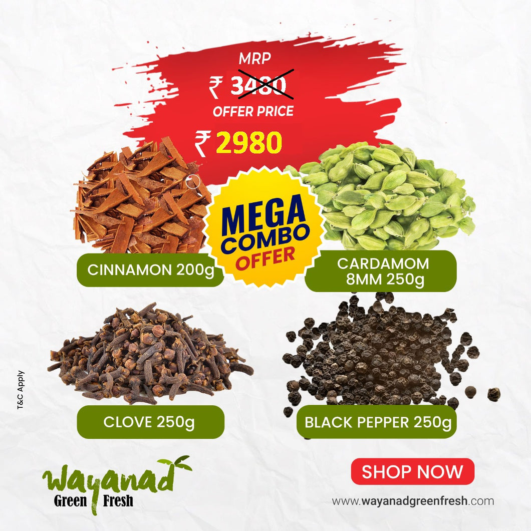 4 Items Combo Offer [Cardamom | Clove | Black Pepper | Cinnamon] - [इलायची | लौंग | काली मिर्च | दालचीनी]